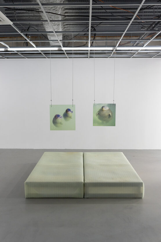 à deux mètres de mon lit Lena Brudieux installation exposition