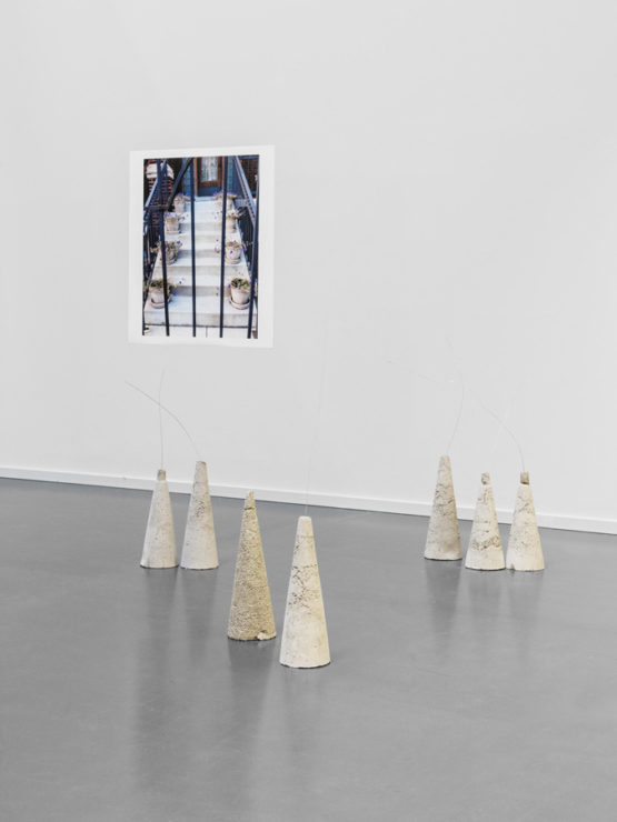 West montrose avenue lena brudieux