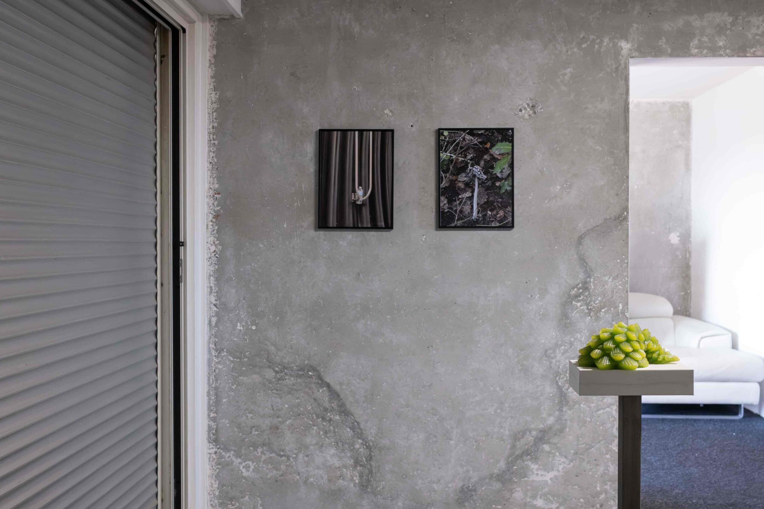 You got what you deserved, Ultra-Parc Gallery ultra ultra Bordeaux art contemporain artist
